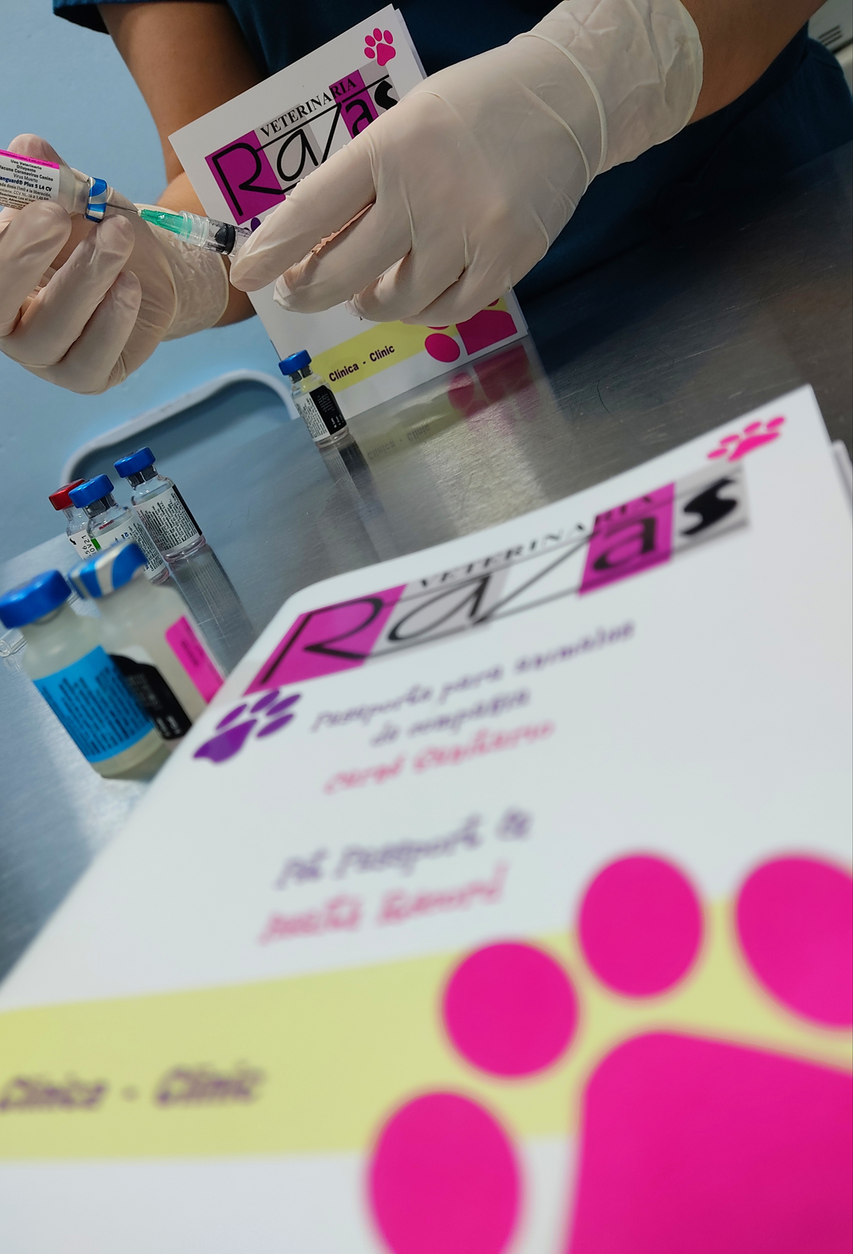 Atención veterinaria profesional