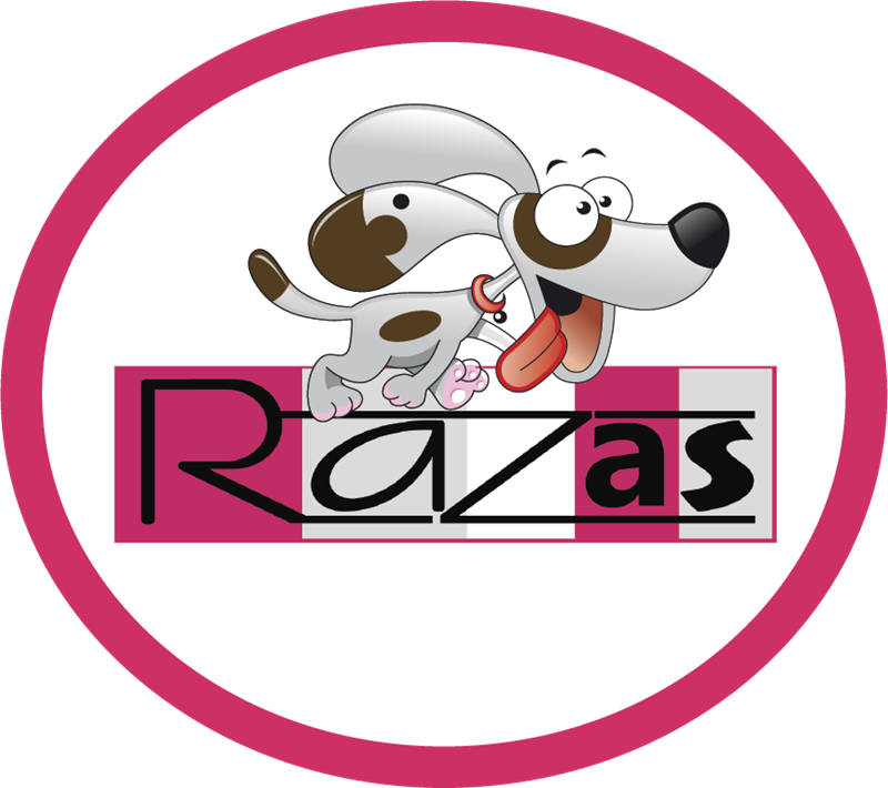 Citas programadas